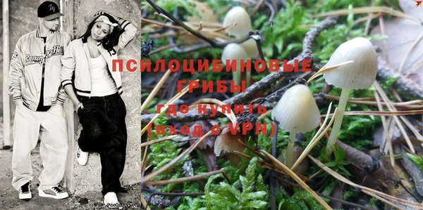 ПСИЛОЦИБИНОВЫЕ ГРИБЫ Баксан