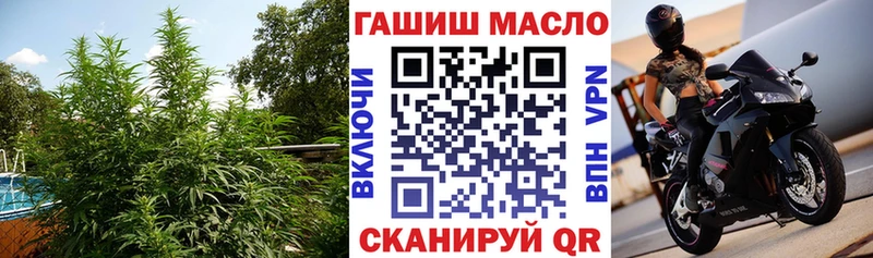 Дистиллят ТГК THC oil Купить Волхов